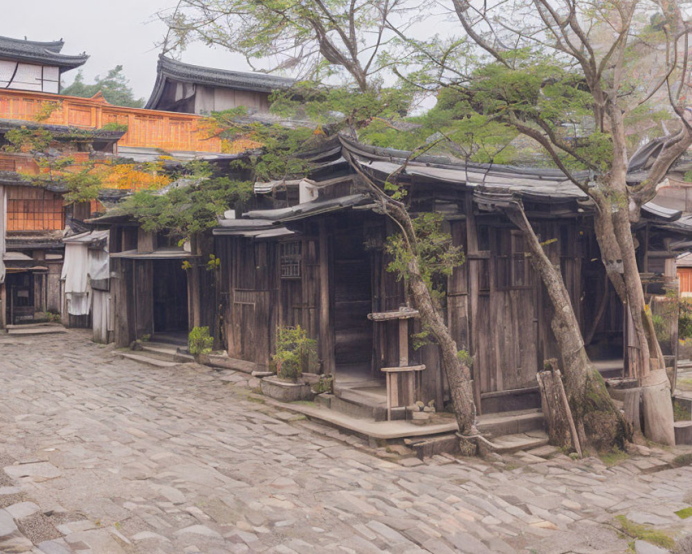 Traditional wooden Japanese houses on cobbled street with lanterns