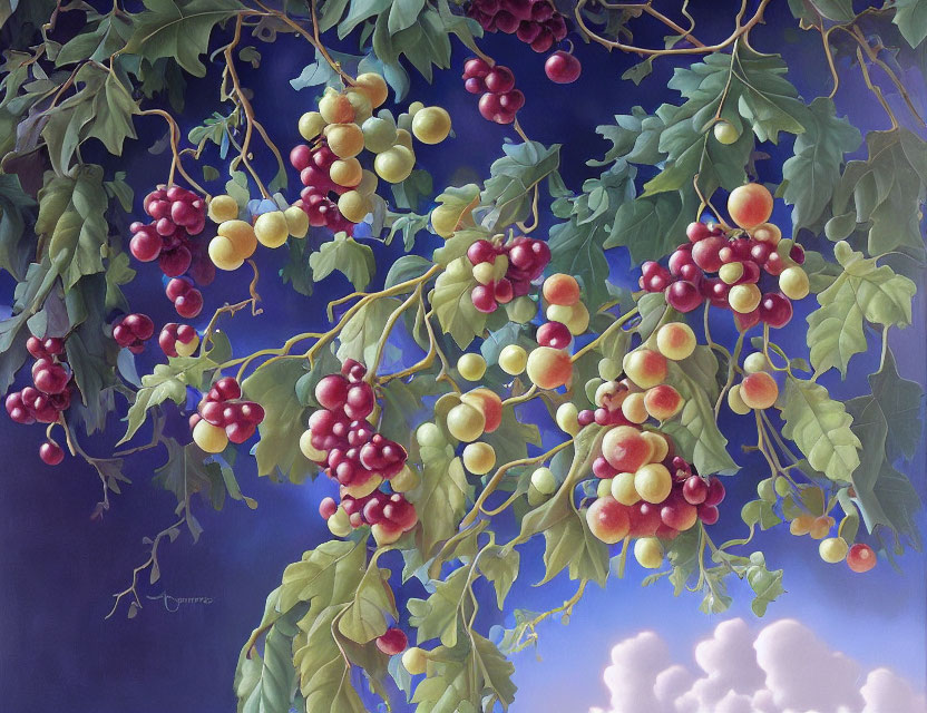 Realistic painting of lush grapevines with ripe red and green grapes under clear sky