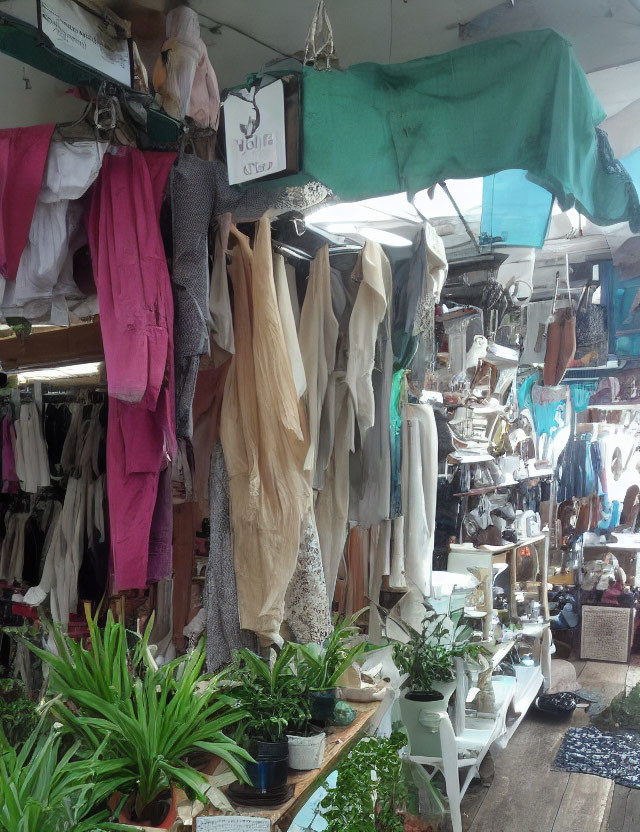 Vintage Shop with Clothing, Knick-Knacks, and Plants
