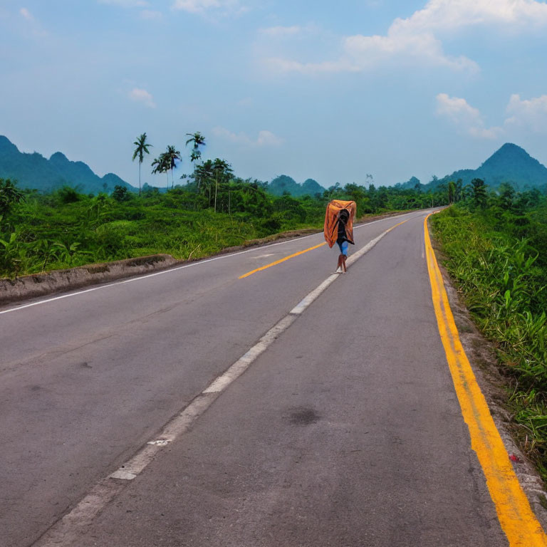 Scenic view of person walking on road with greenery and mountains.
