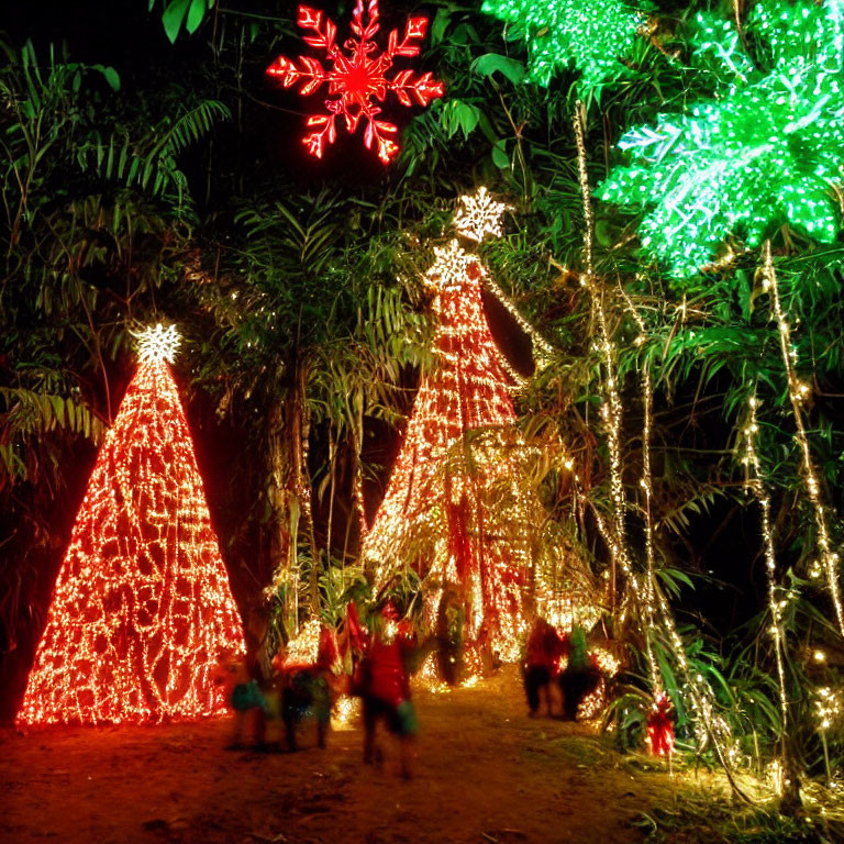 Colorful Outdoor Christmas Light Display with Illuminated Trees and Festive Decorations