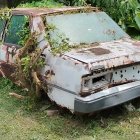 Rusted abandoned car covered in moss and plants in grassy area