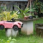 Pink Convertible Car Parked in Lush Garden
