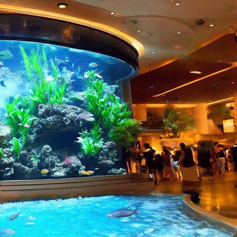 Vibrant marine life in large cylindrical indoor aquarium
