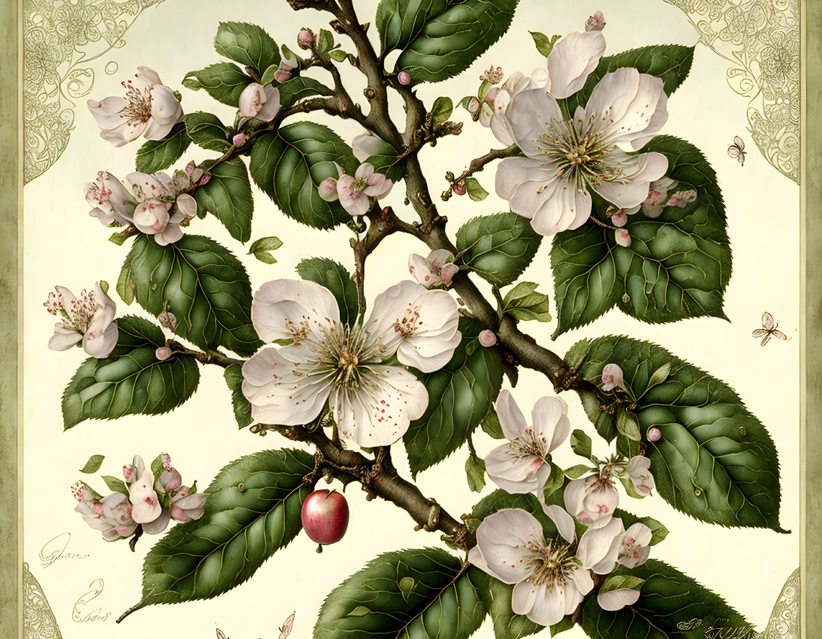 Detailed Vintage Botanical Illustration of Apple Tree Branch in Bloom