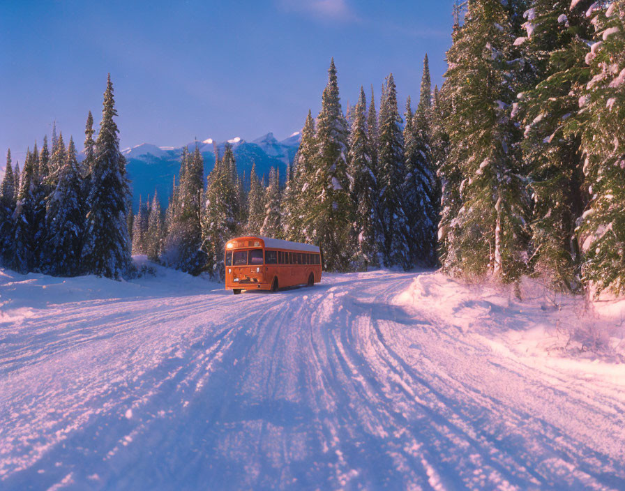 A bus in the snow forest