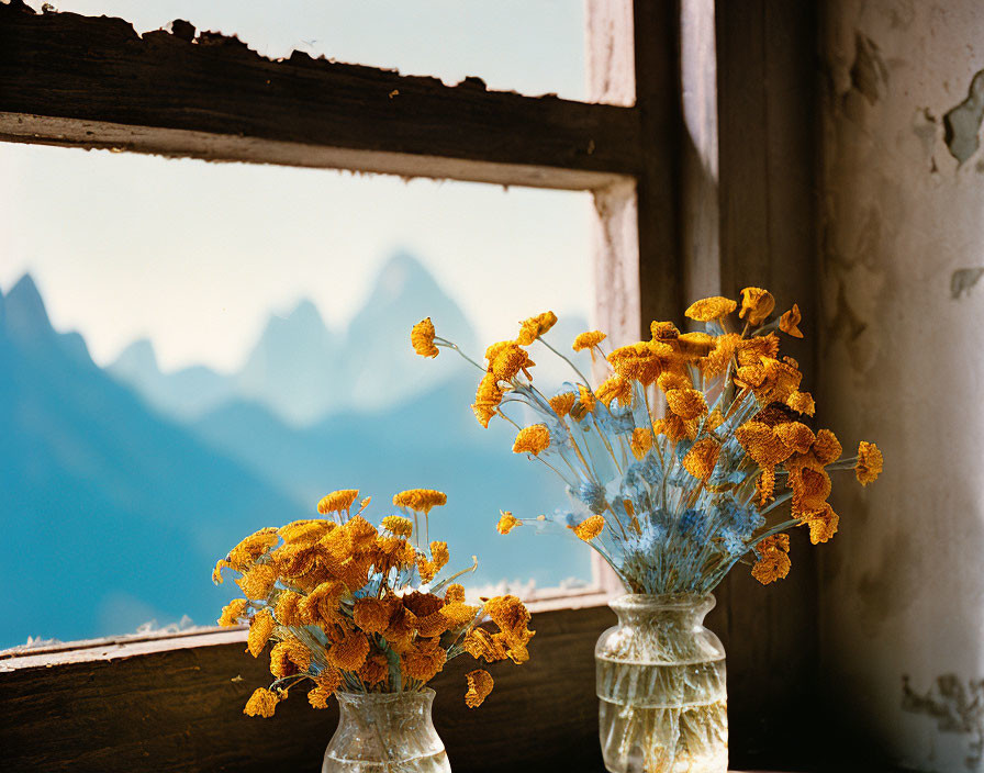 Yellow Flowers in Vases on Windowsill with Mountain View