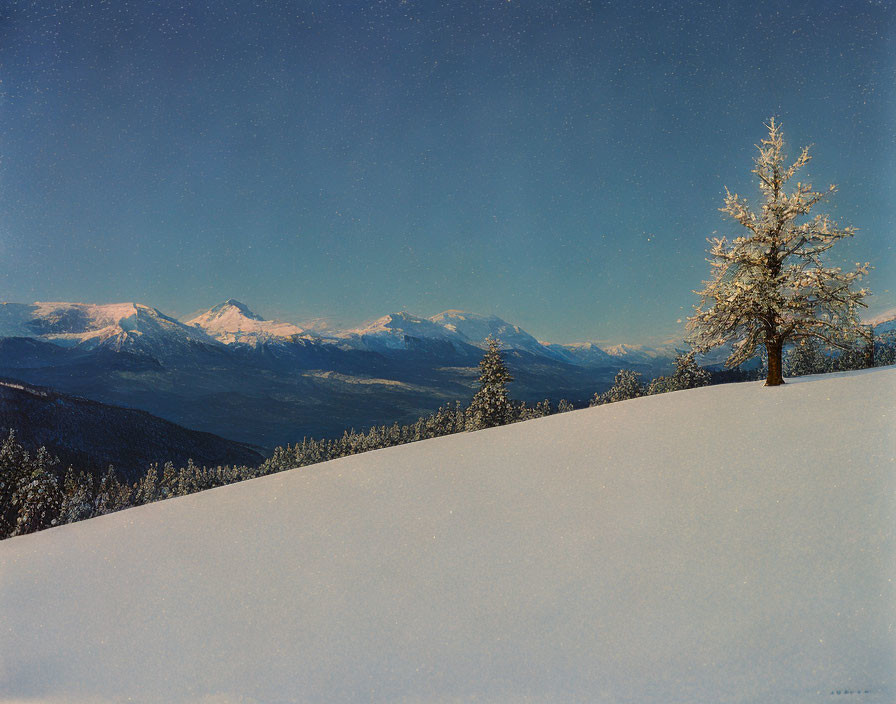 Snow-covered twilight landscape with single tree, distant mountain peaks, and starry sky