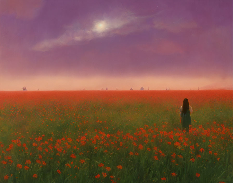 Person in Red Flower Field under Twilight Sky