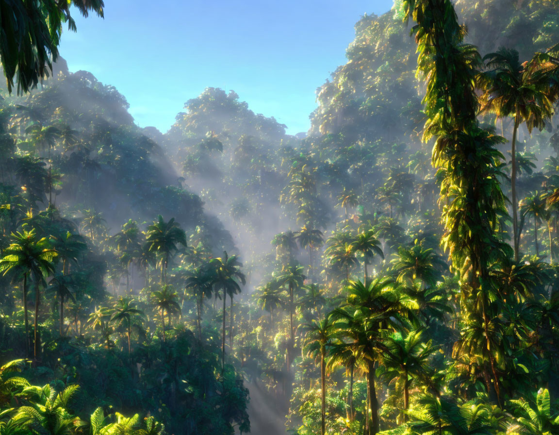 Dappled sunlight in lush tropical rainforest