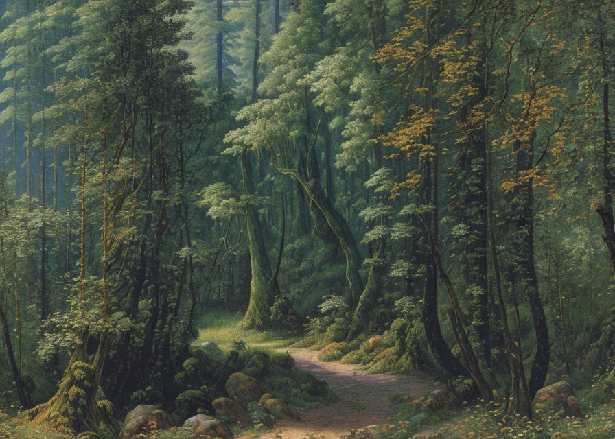 Tranquil Forest Path Through Lush Green Woods