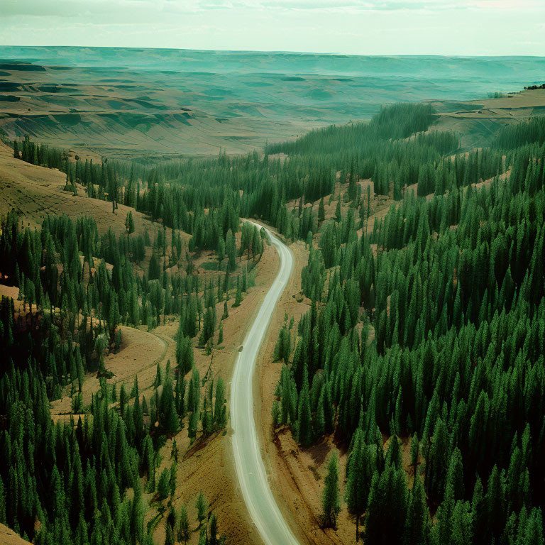 Scenic winding road through dense forest and rolling hills under hazy sky