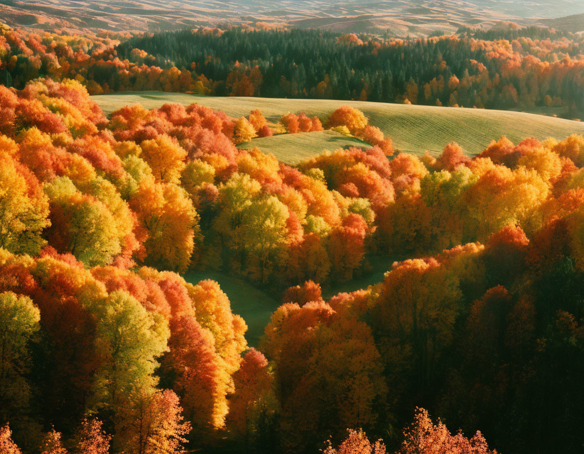 Landscape in Autumn