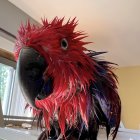 Colorful Macaw Bathing with Water Droplets