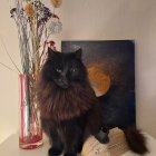 Majestic black cat canvas art print on vibrant floral background