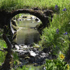 Lush Garden with Stone Bridge and Blooming Flowers