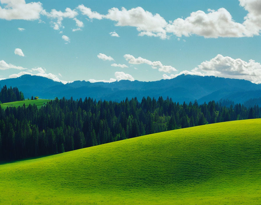 Lush Green Hills, Forest, and Mountains Under Blue Sky