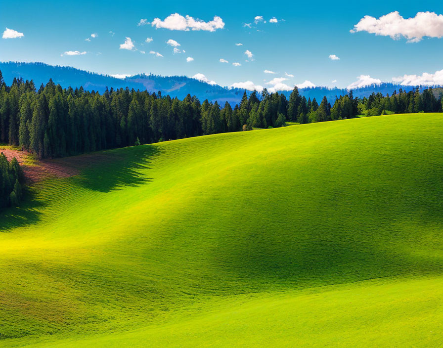 Scenic view of lush green hills under bright blue sky