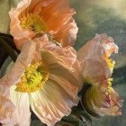 Detailed painting of vibrant poppies in peach, coral, and cream with golden centers on a soft-focus