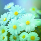 Soft-focus forest scene with pale blue daisies and yellow centers
