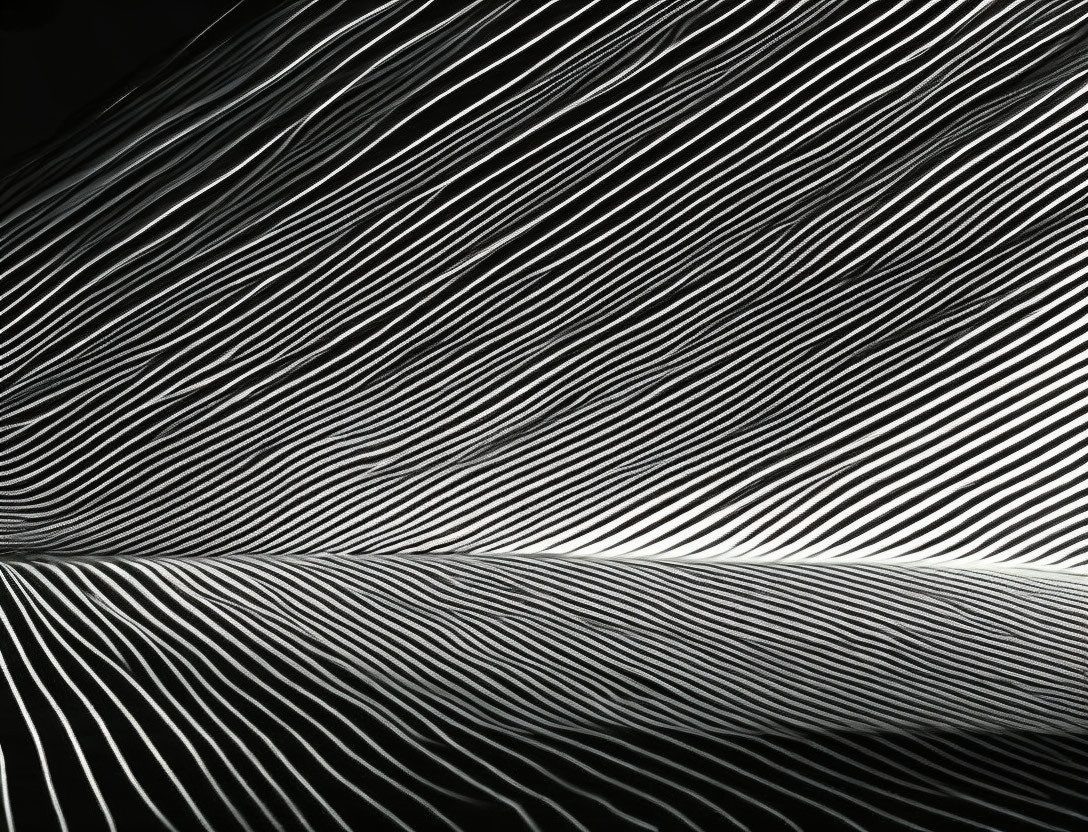 Abstract Monochrome Pattern with Dynamic Wavy Lines