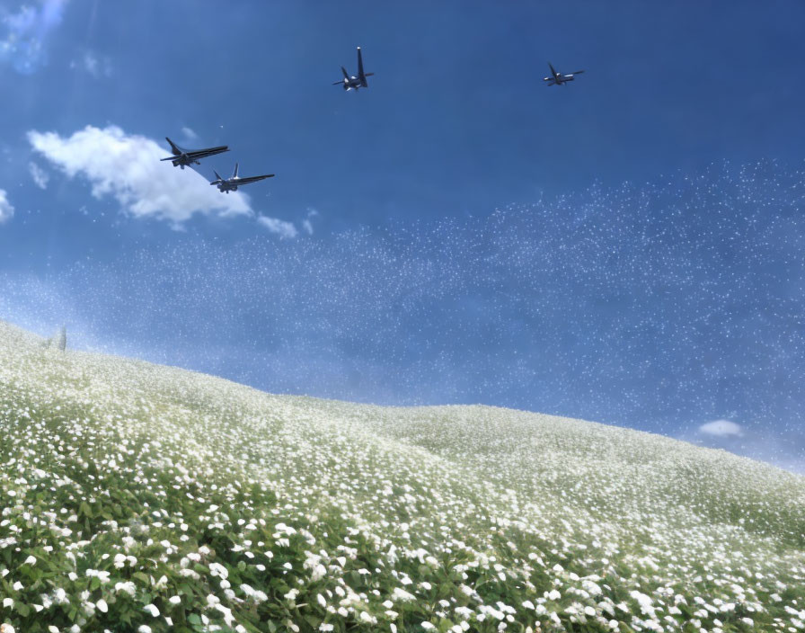 Military aircraft formation over blooming white flower field under blue sky