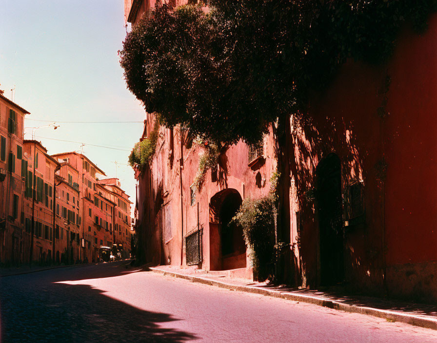 Sunlit Street with Red Walls and Greenery Leading to Buildings