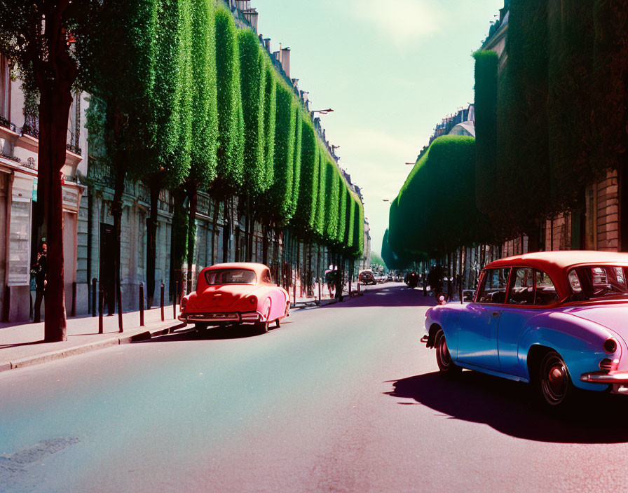 Classic Cars Parked on City Street with Trees and Buildings, Blue Sky