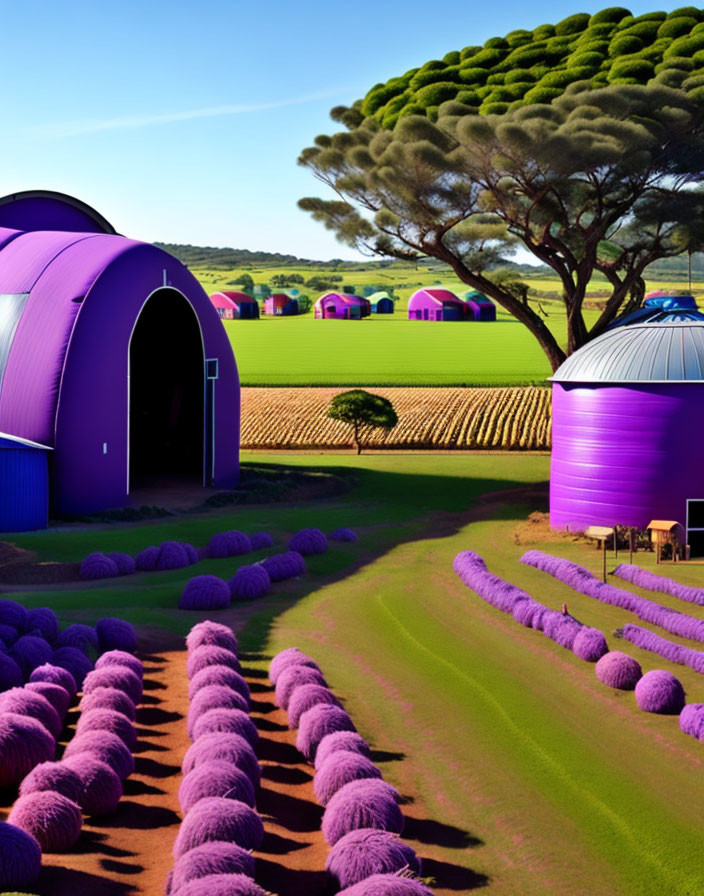 Picturesque lavender fields with purple dome structures and rolling hills.