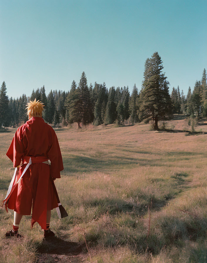 Person in Red Cloak with Blonde Spiky Hair in Grass Field Looking at Forest