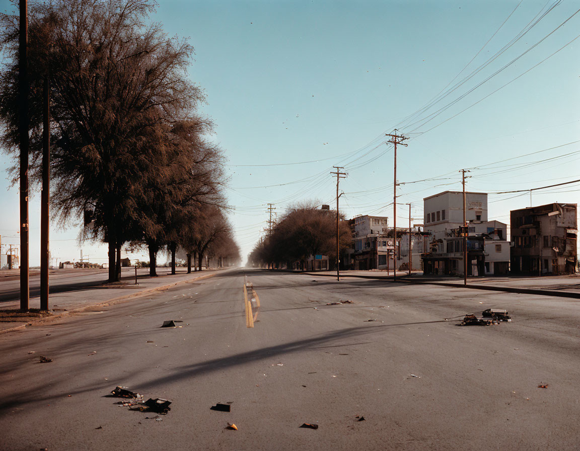 Leafless trees and buildings on a deserted urban road with power lines and scattered debris.