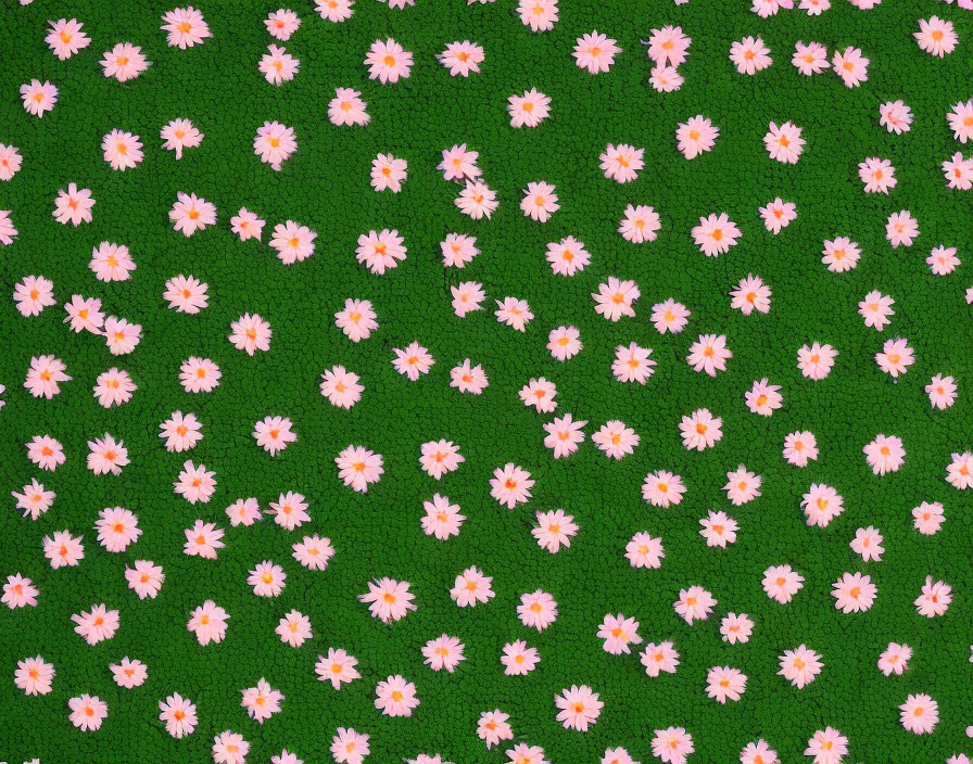 Flowered Lawn
