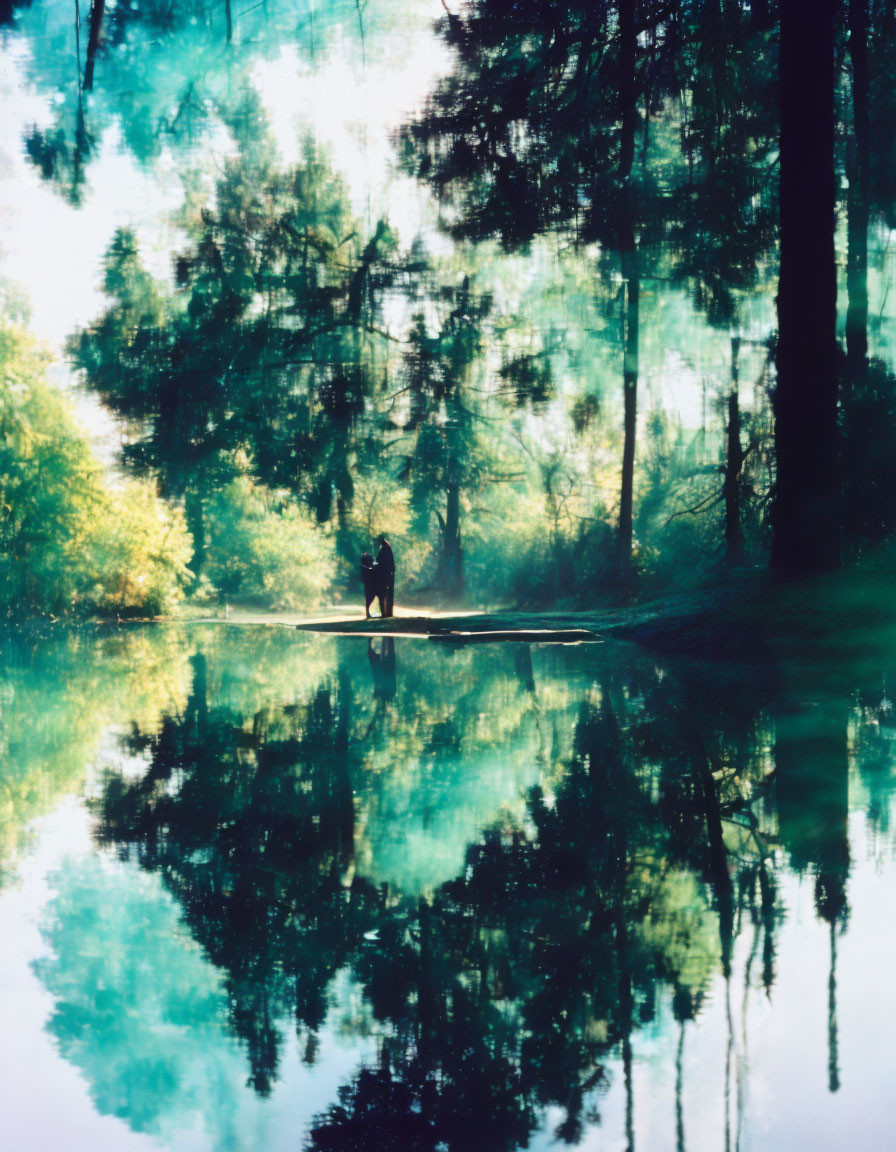 Person by reflective lake in misty forest setting