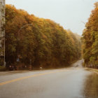 Misty autumn road with wet trees on a winding path