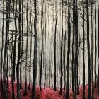 Monochrome forest painting with red foliage contrast