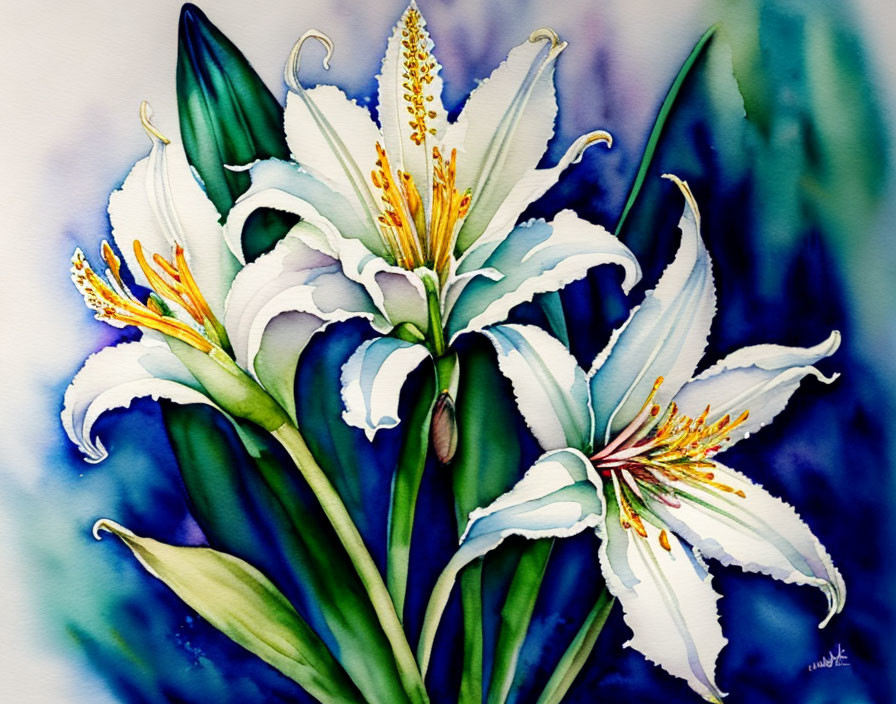  white lily flowers 