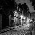 Monochrome night scene of wet cobblestone street with vintage lamps and buildings