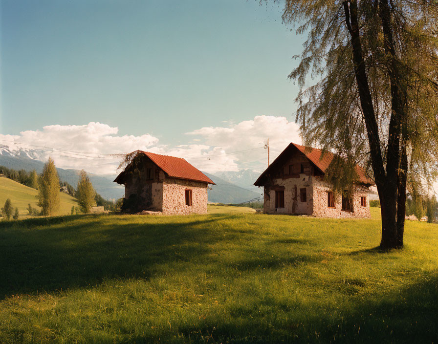Two old houses in the meadow