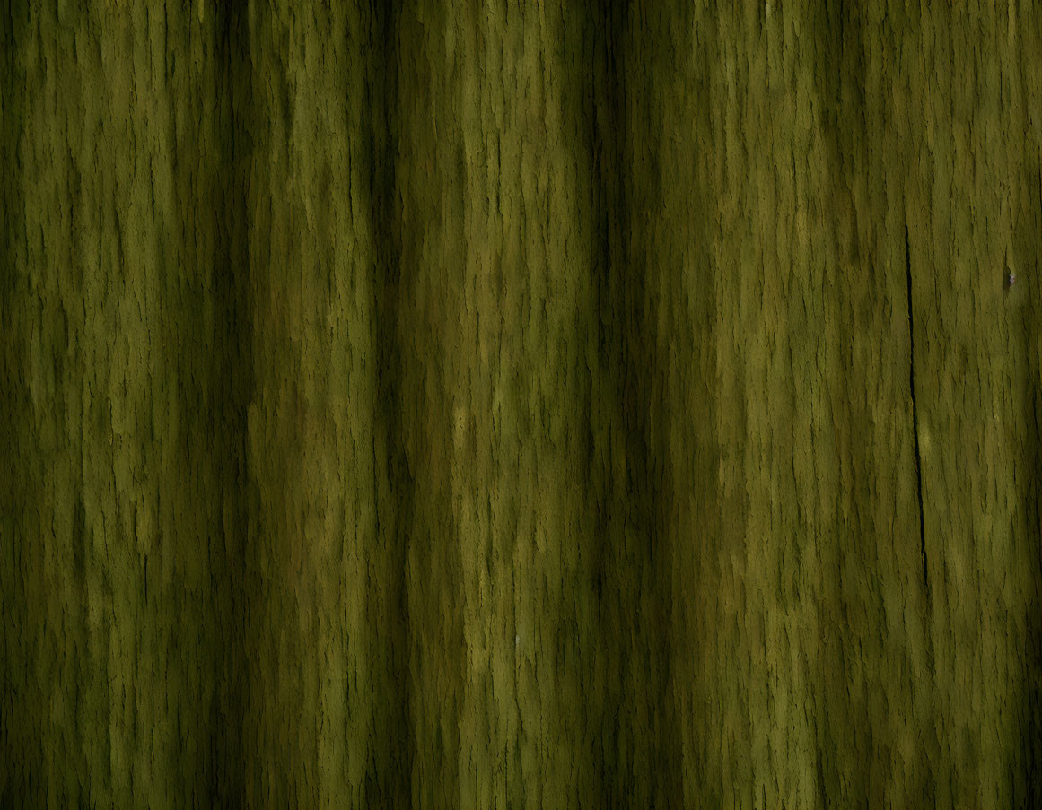 Detailed Dark Green Vertical Wood Grain Pattern Texture