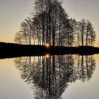 Tranquil sunset reflection in water with trees and stars