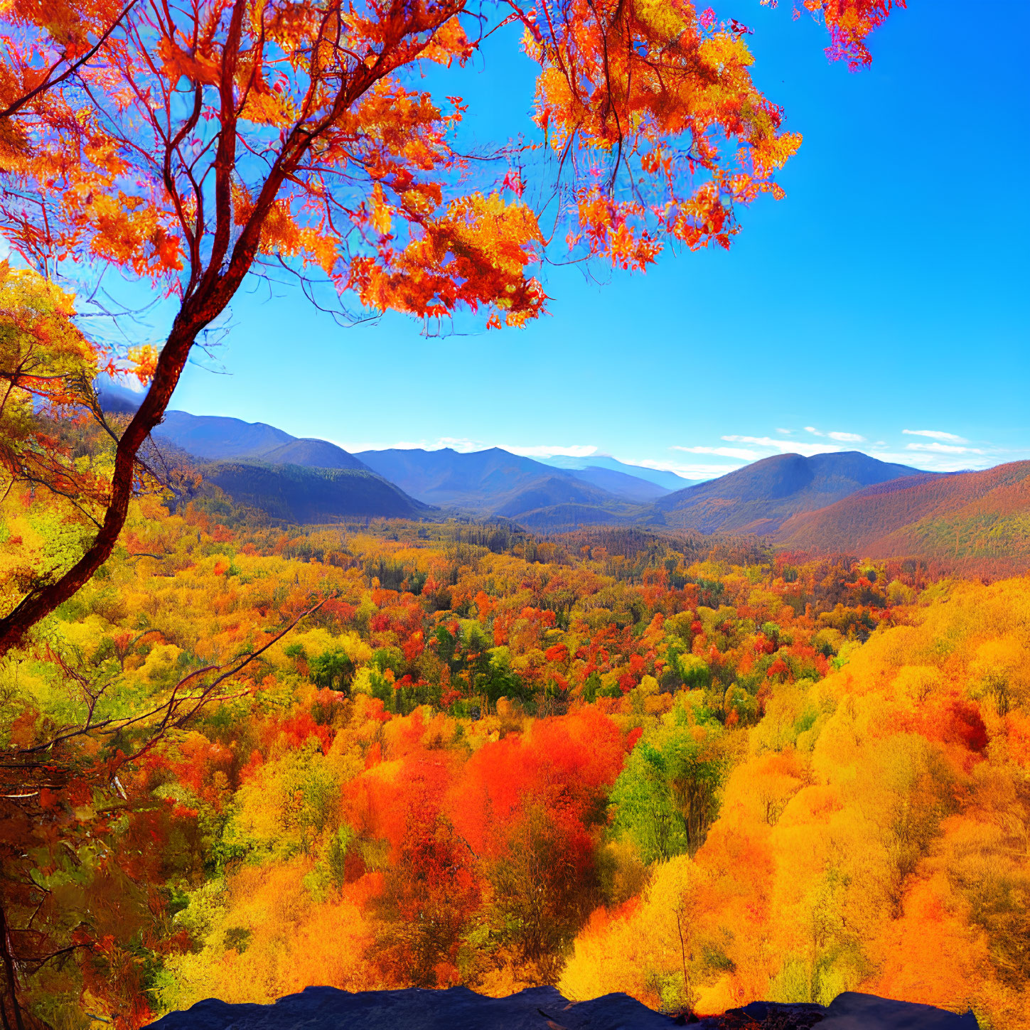 Colorful Autumn Landscape with Mountain Range View