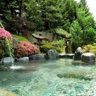Tranquil Japanese garden with pond, cherry blossoms, waterfalls, and rocks