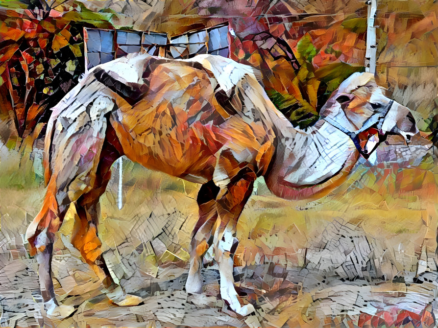 camel abstract