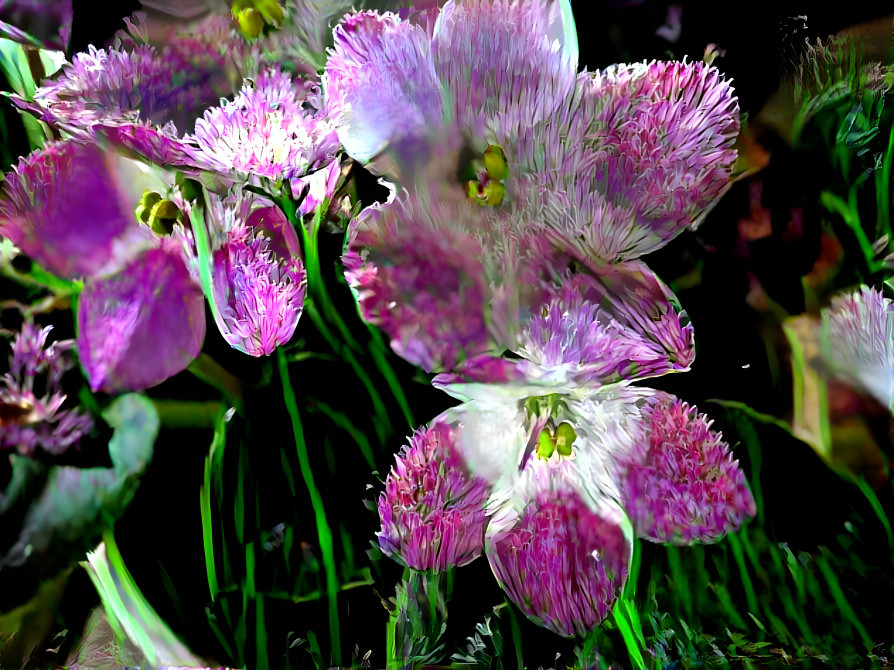 Purple Effect Flowers