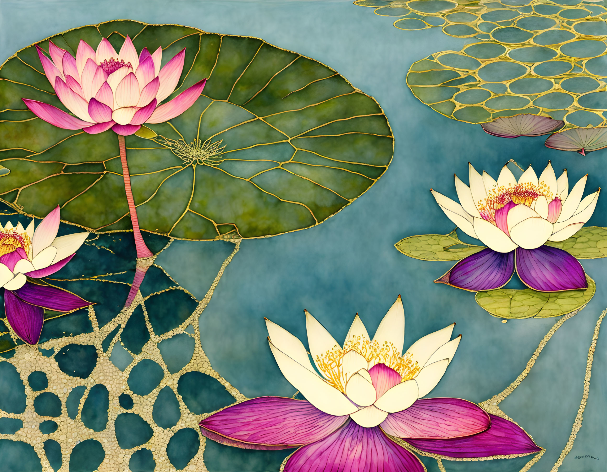 lotus flowers 