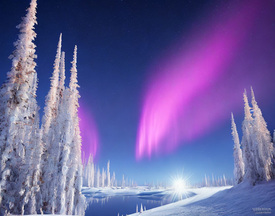 Winter scene: Snow-covered trees, aurora borealis, starry sky, sun over frozen lake