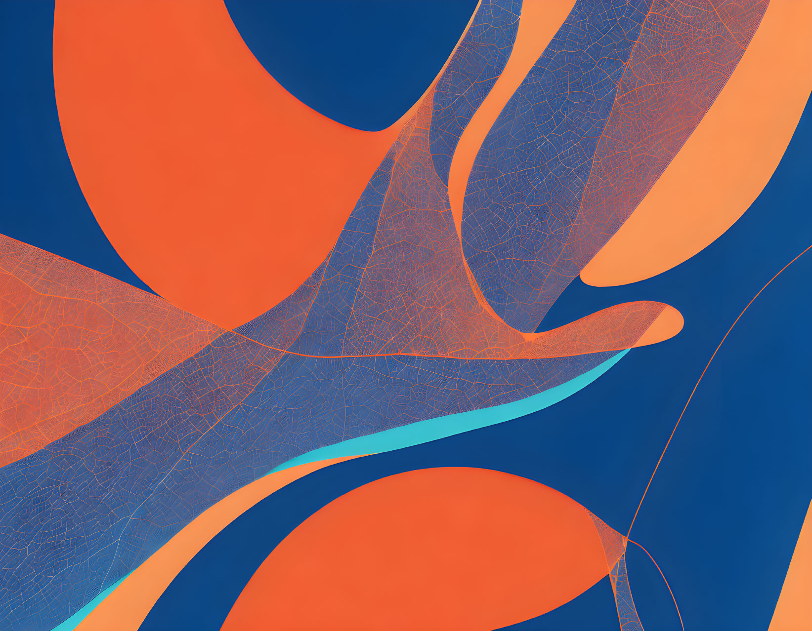 Orange and Blue Curvy Shapes with Web-Like Texture on Deep Blue Background
