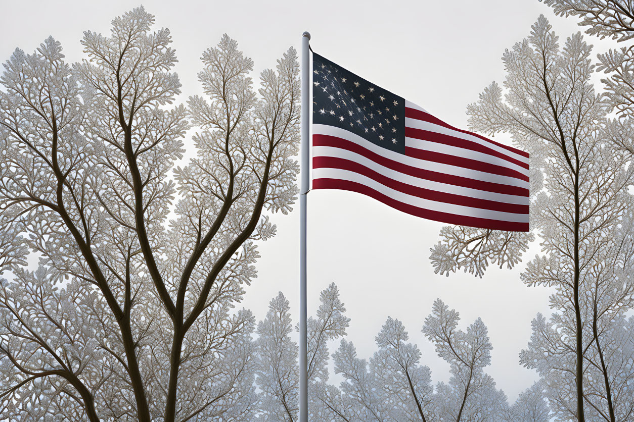 Frost-covered tree branches with American flag in foggy backdrop