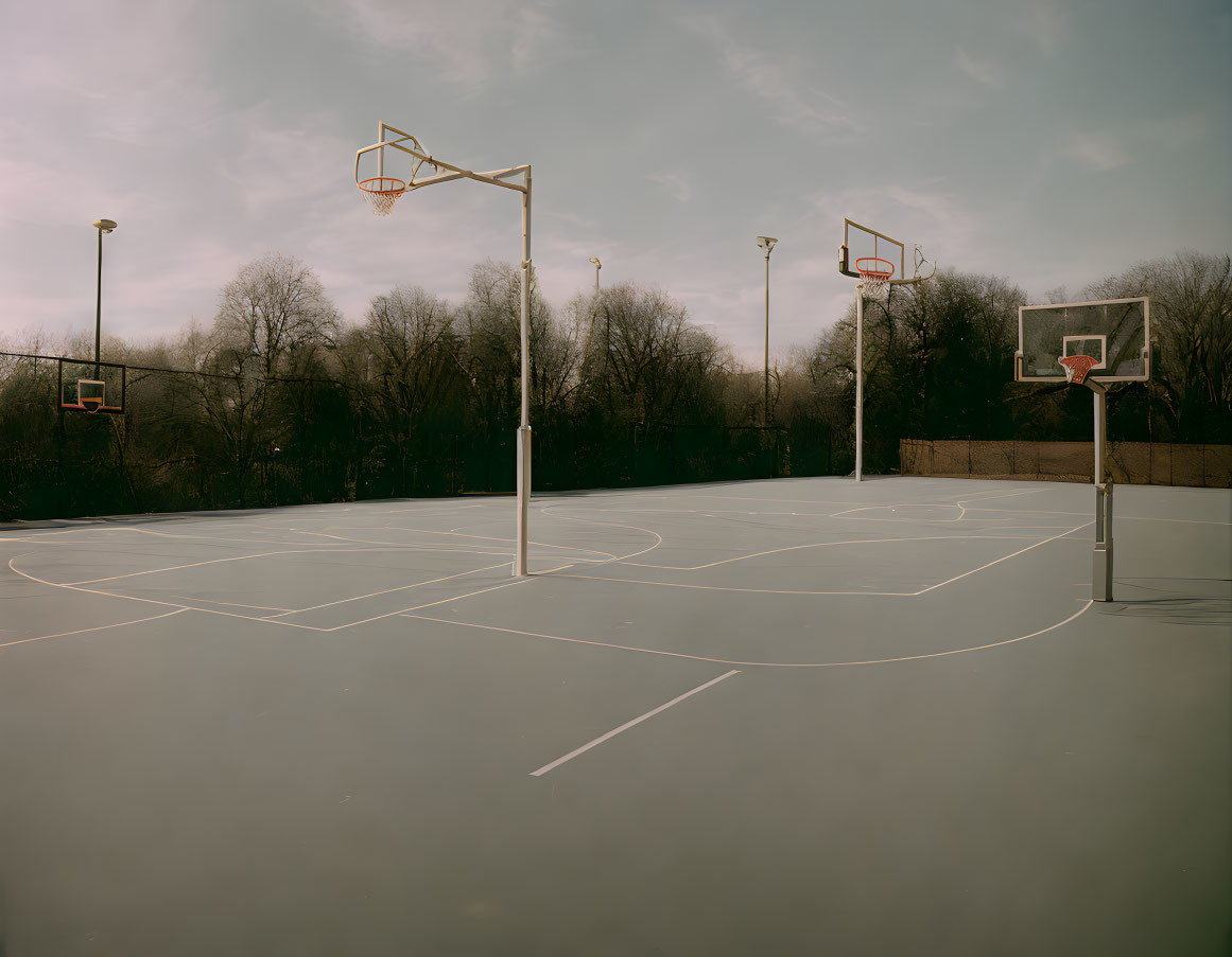 basket-ball 