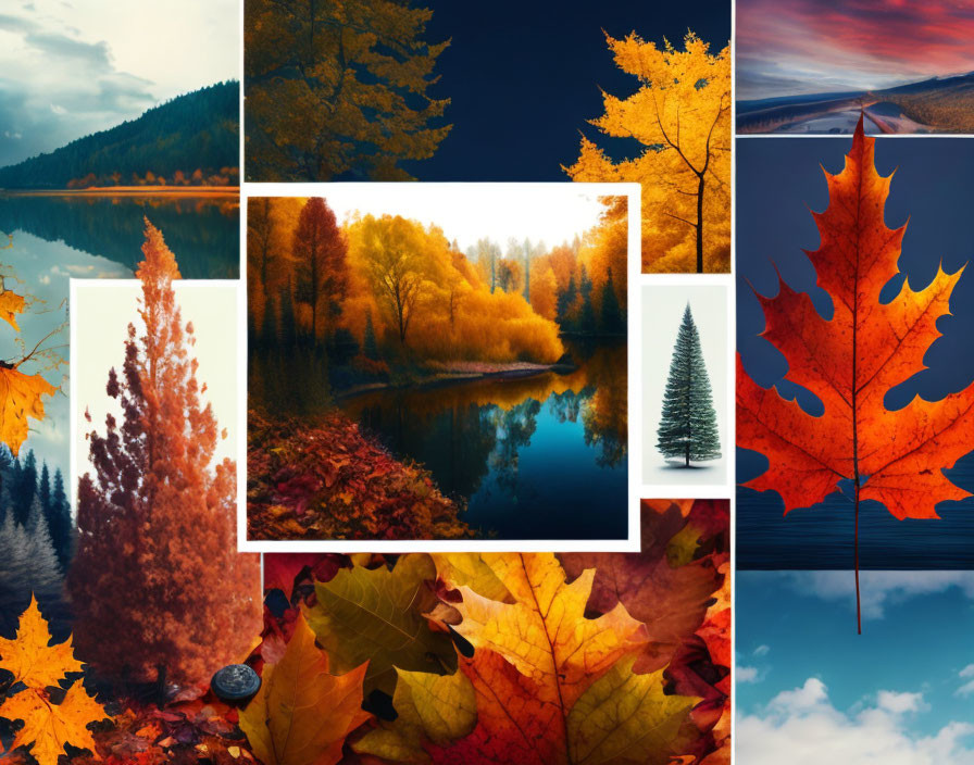 Collage on the theme of autumn